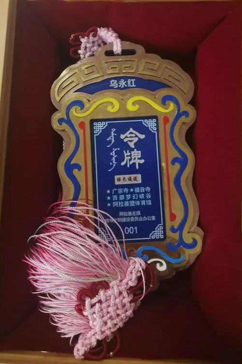 烏永紅老師獲阿左旗見義勇為模范獎(jiǎng)