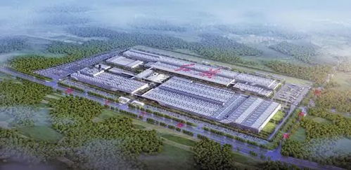 小米集團(tuán)雷軍來長春了 是奔他來的