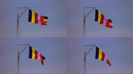 藏族旗藏族旗AE模板下載_光廠(VJ師網(wǎng))