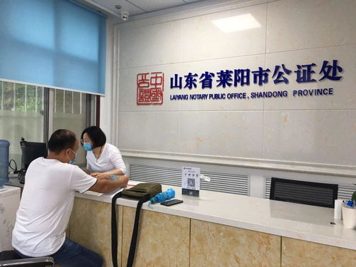 以創新服務模式賦能社會經濟咨詢，驅動高質量發展新引擎